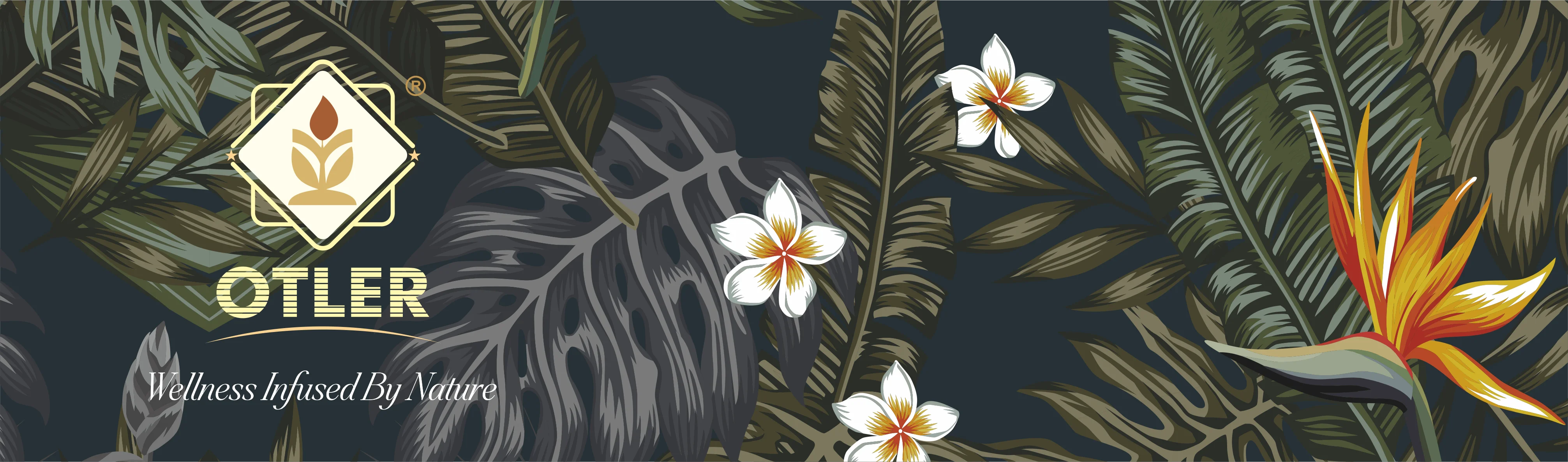 Gift Box 24 Tea Bags